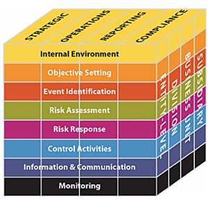 The Committee of Sponsoring Organizations of the Treadway Commission (COSO) established an integrated framework to help organizations enhance their internal control systems.      Figure 1. COSO ERM Framework  These eight components are criteria for an effective ERM (see Figure 1). The four types of organizational objectives (strategic, operations, reporting, and compliance) are represented by the cube’s top dimension. The four organization levels (entity-level, division, business unit, and subsidiary) are represented by the cube’s third dimension. Although the Director of Caltrans is ultimately responsible for ERM, everyone in Caltrans has some level of responsibility.